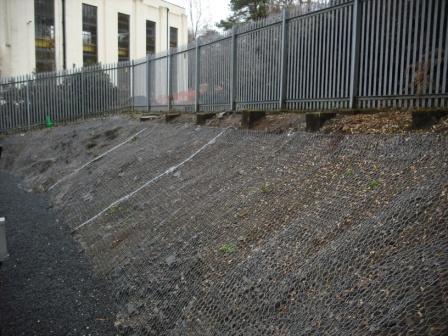 Earlstoun Transformer Complex